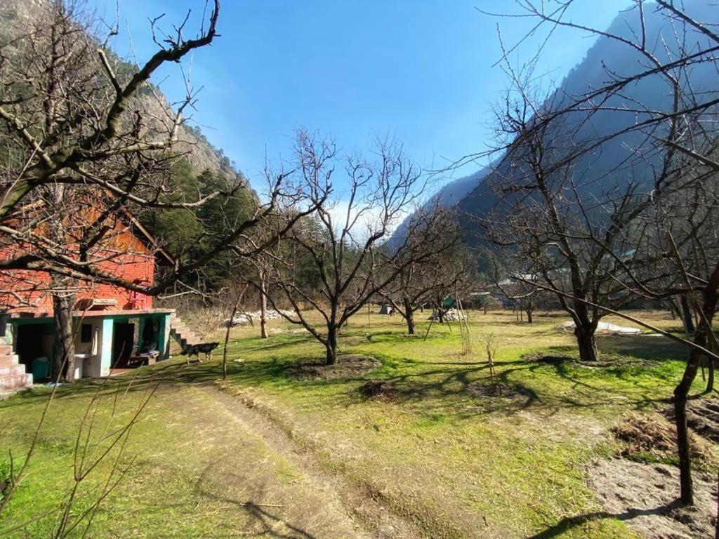 The Royal Orchard Kasol Exterior photo