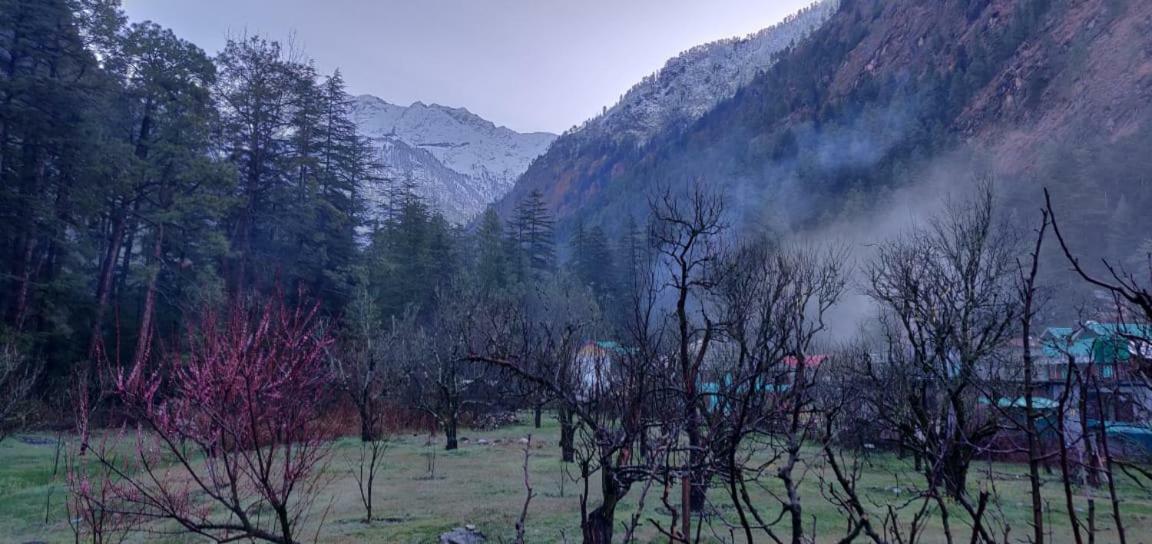 The Royal Orchard Kasol Exterior photo