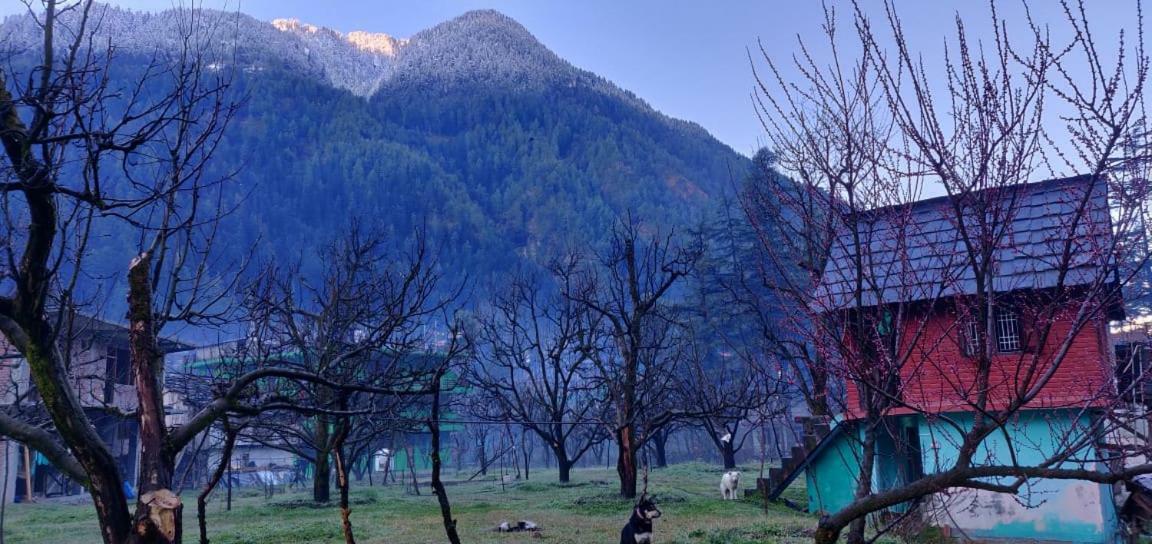 The Royal Orchard Kasol Exterior photo